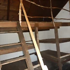 DSCN1364