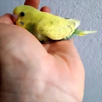 20190711_133716