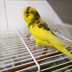 20190102_181334