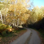 DSCN8786