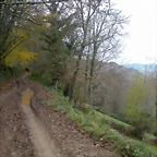 DSCN0874