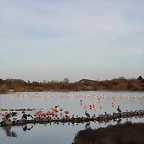 Sigean 26-12-11 1030