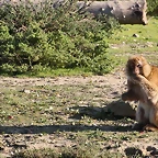 Sigean 26-12-11 751