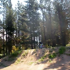 DSCN5304