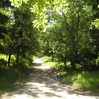 DSCN5310