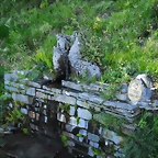 DSCF2494