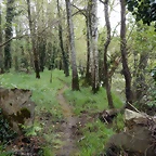 DSCN9181