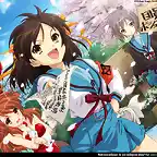 melanchoy haruhi