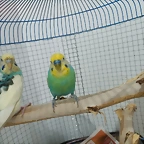 IMG20240902212151
