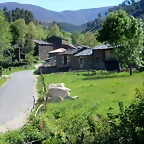 29-IMG_6388