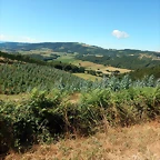 DSCN7575
