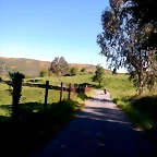 DSCN2116