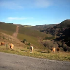 DSCN2497
