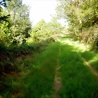 DSCN2086