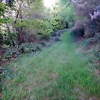 DSCN2087