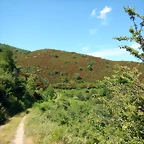 DSCN4831