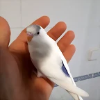 20190603_112448