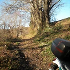 DSCN3004