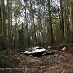 moto de agua abandonada en medio del bosque