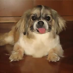 matilda2