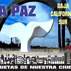 LA PAZ BAJA CALIFORNIA SUR, COLA DE BALLENA