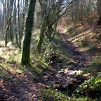 DSCN2076