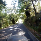 DSCN9161