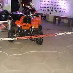 000_393299_2613857586274_257206616_n