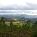 DSCN7159