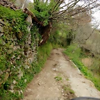 DSCN4089
