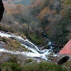 DSCN6690