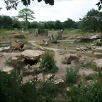 Zoo Leipzig 20-06-11 730