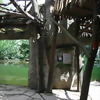 Zoo Leipzig 20-06-11 269