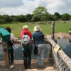 Zoo Leipzig 20-06-11 736