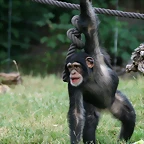 Zoo Leipzig 20-06-11 869