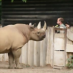 Zoo Leipzig 20-06-11 212
