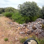 DSCN6231