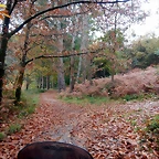 DSCN1145