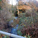 DSCN0707