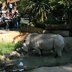 Zoo de Barcelona 20-04-11 312