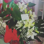 Mar?a IG 16-11-2016 (1)