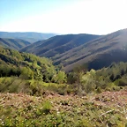 DSCN0131