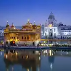 tplodoradoradoAmritsar