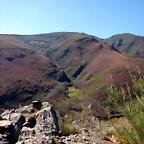 DSCN9372