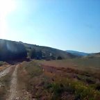 DSCN7696