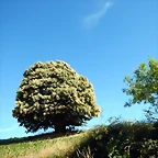 DSCN9661