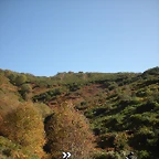 DSCN0049