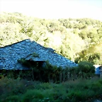DSCN7764