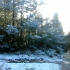 DSCN7478
