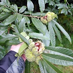 DSCN5304